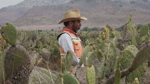 La delgada línea amarilla Bild 2