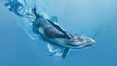 Ein perfekter Planet Bild 6