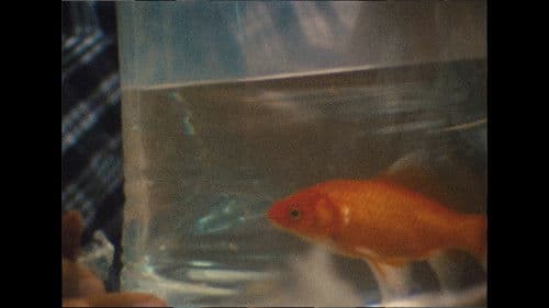 Esconde-Esconde Bild 2