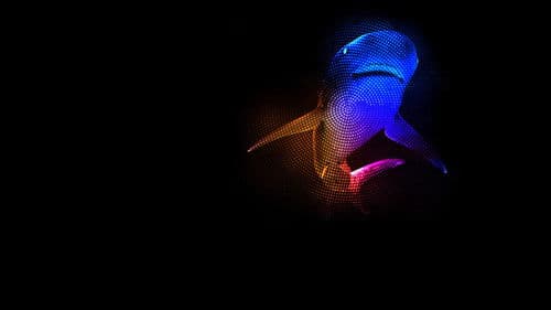 Mothersharker Bild 2