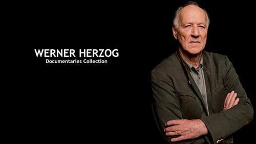 The White Diamond Bild 3