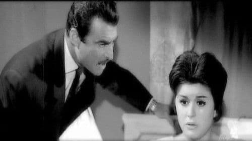 غصن الزيتون Bild 2