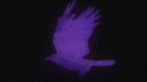 Edgar Allan Poe's The Raven Bild 1