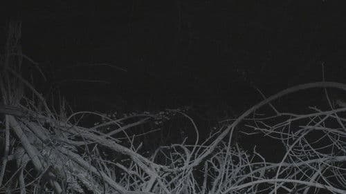 All the Planets in My Heart Bild 1