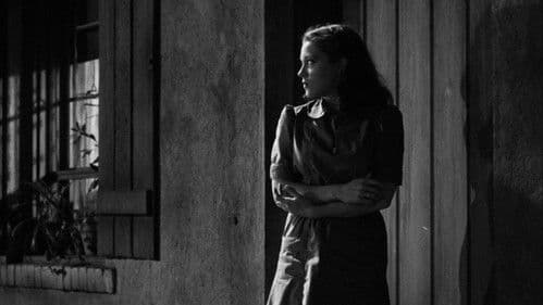 Shadows in the Dark: The Val Lewton Legacy Bild 1