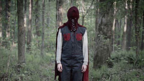Brightburn - Son of Darkness Bild 4