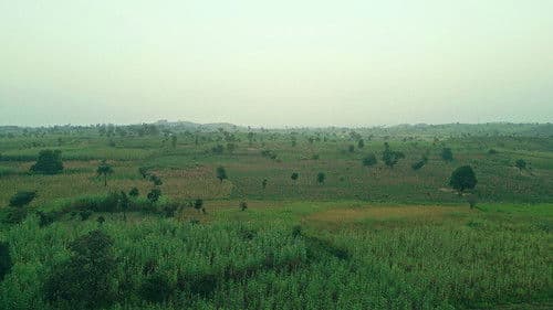 The Sahel Cuisine: Fura Da Nono Bild 2