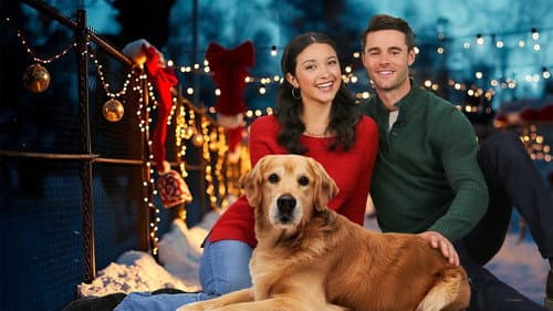 Weihnachtsglück mit Herz & Hund Bild 3