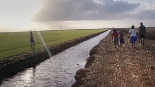 The Rabbit Hunt Bild 1