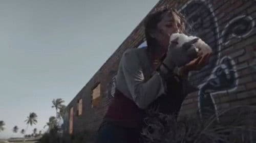 Não Nos Deixeis Bild 2