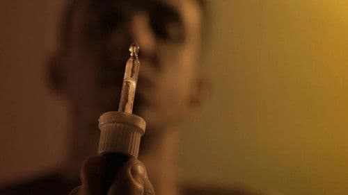 G—Lost in Frankfurt Bild 7