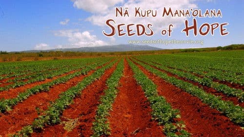 Na Kupu Mana'olana Bild 1