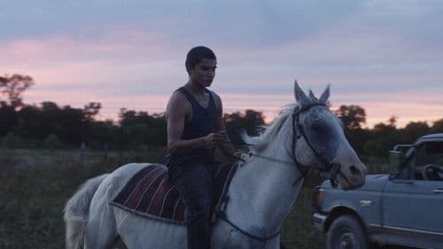 Songs My Brothers Taught Me Bild 5