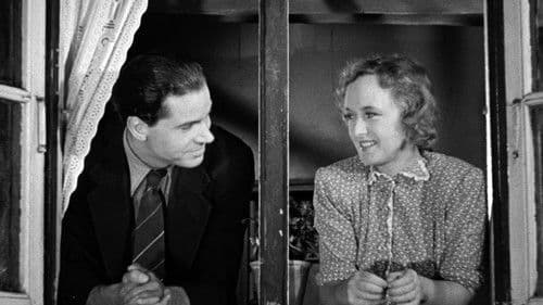 Spurve under taget Bild 3