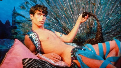 Pink Narcissus Bild 8