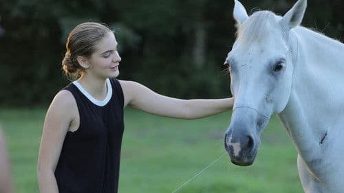 Fest im Sattel Bild 4