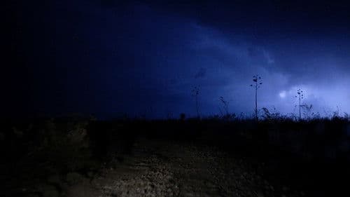 Luces del desierto Bild 6