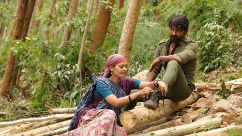 கழுகு 2 Bild 8