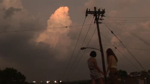 The Wolf Knife Bild 5