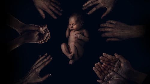 The King Tide Bild 5