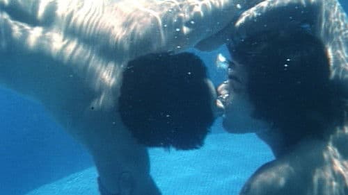 Mango Soufflé Bild 2