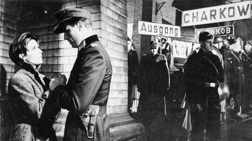 Hunde, wollt ihr ewig leben Bild 3