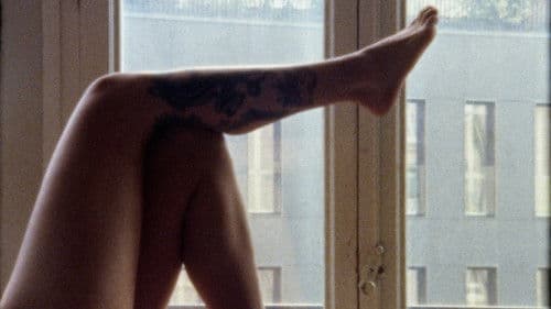 Bang Bang Stefi! Bild 2