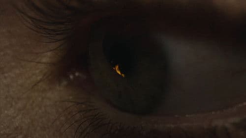 O Corpo Aberto Bild 5