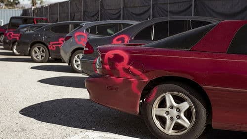 American Vandal Bild 7