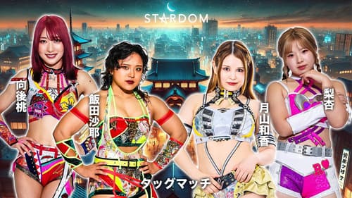 第15回 ゴッデス・オブ・スターダム ～タッグリーグ戦～ in KANDAMYOUJIN Bild 5