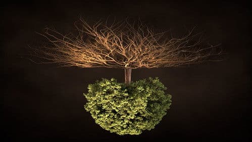 Voyage sous nos pieds Bild 1