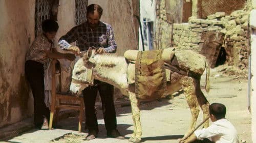 Беженцы Bild 2