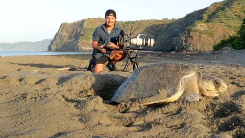 Tatort Strand Bild 3