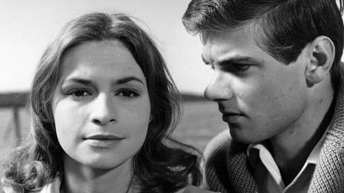 Goda vänner, trogna grannar Bild 1