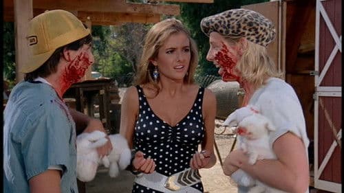 Summer School Bild 2