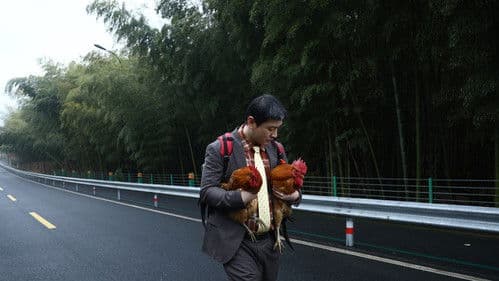 阳光俱乐部 Bild 2