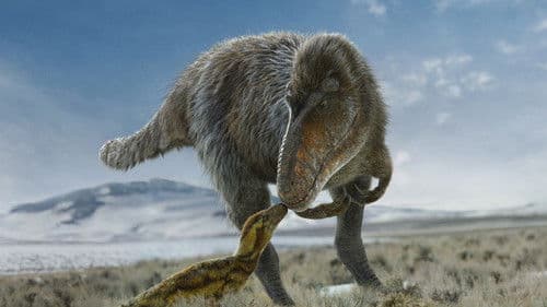 Ein Planet vor unserer Zeit Bild 8