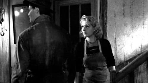 Ein hübscher kleiner Strand Bild 4