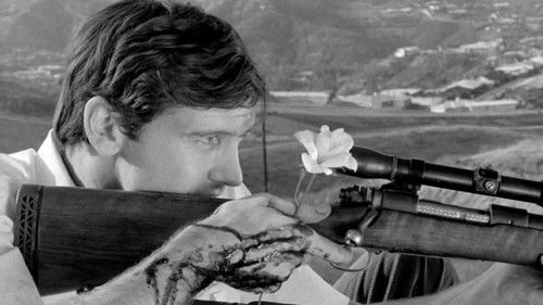 Psychedelic Sexualis Bild 1