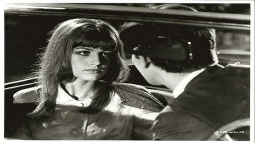 Made in Italy Bild 3