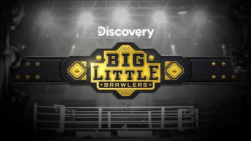Big Little Brawlers Bild 2