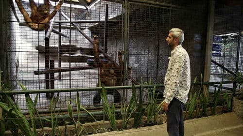 Planet ohne Affen Bild 6