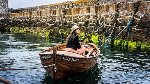 Cecelia Ahern: Dich zu lieben Bild 1