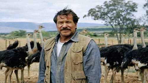 Einmal so wie ich will Bild 1