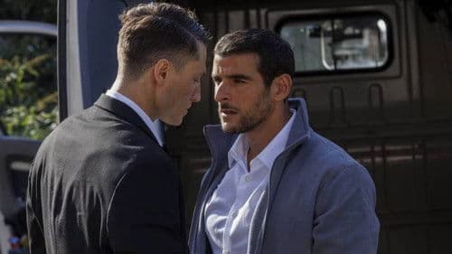 Tiger und Hyänen Bild 5