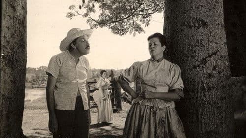 Casinha Pequenina Bild 1