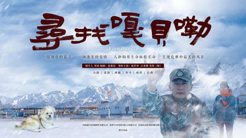 寻找嘎贝勒 Bild 1