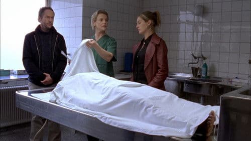 Mankells Wallander 05 - Ein Toter aus Afrika Bild 1