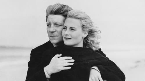 Schleppkähne Bild 1