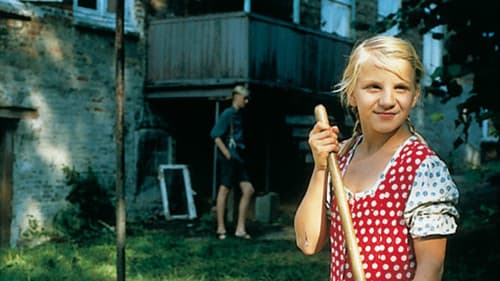 Novemberkatzen Bild 1